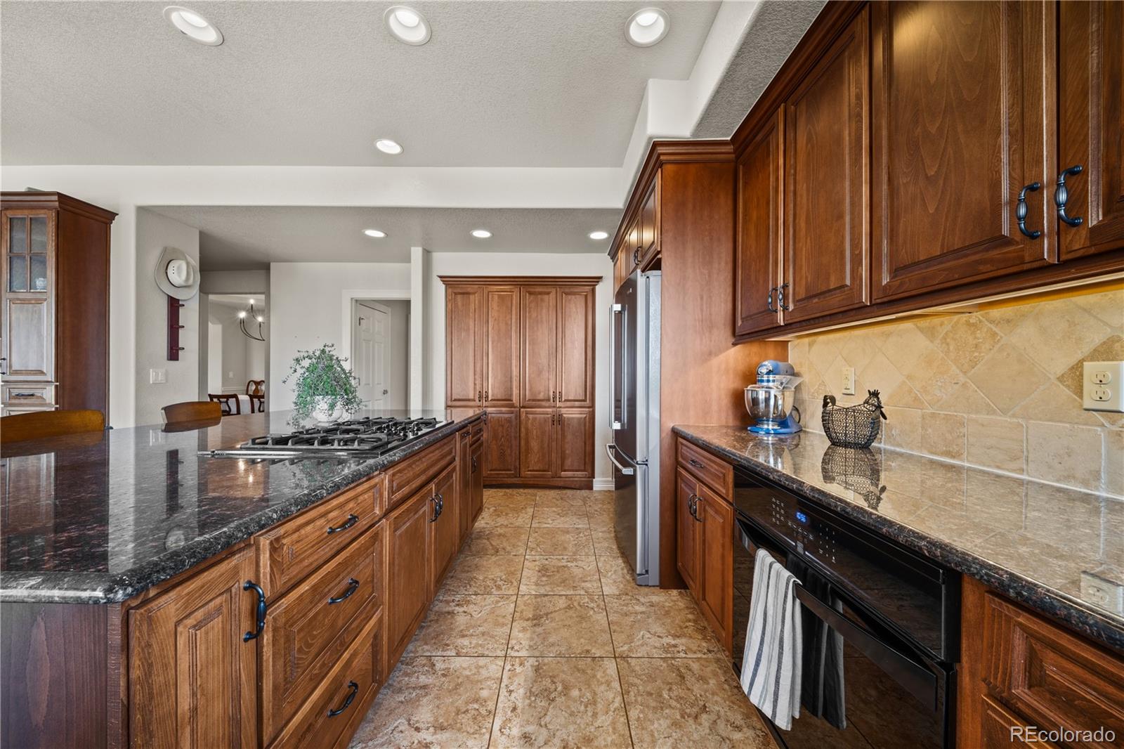 MLS Image #12 for 213  scotch pine circle,parker, Colorado