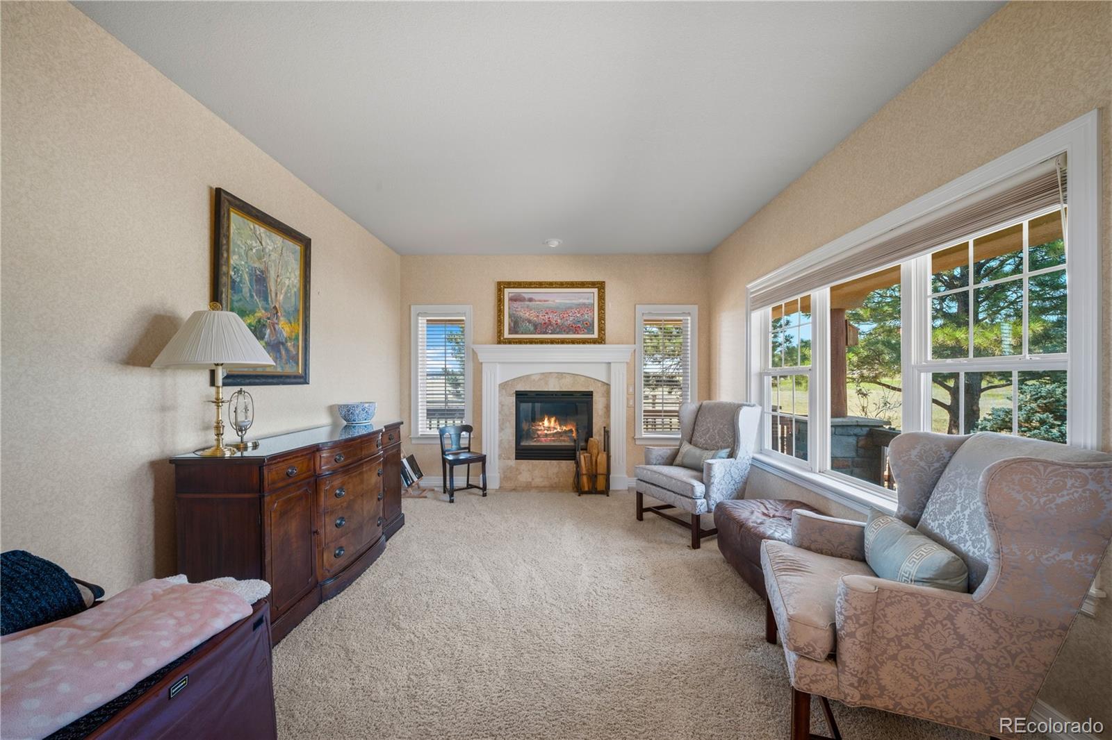 MLS Image #16 for 213  scotch pine circle,parker, Colorado