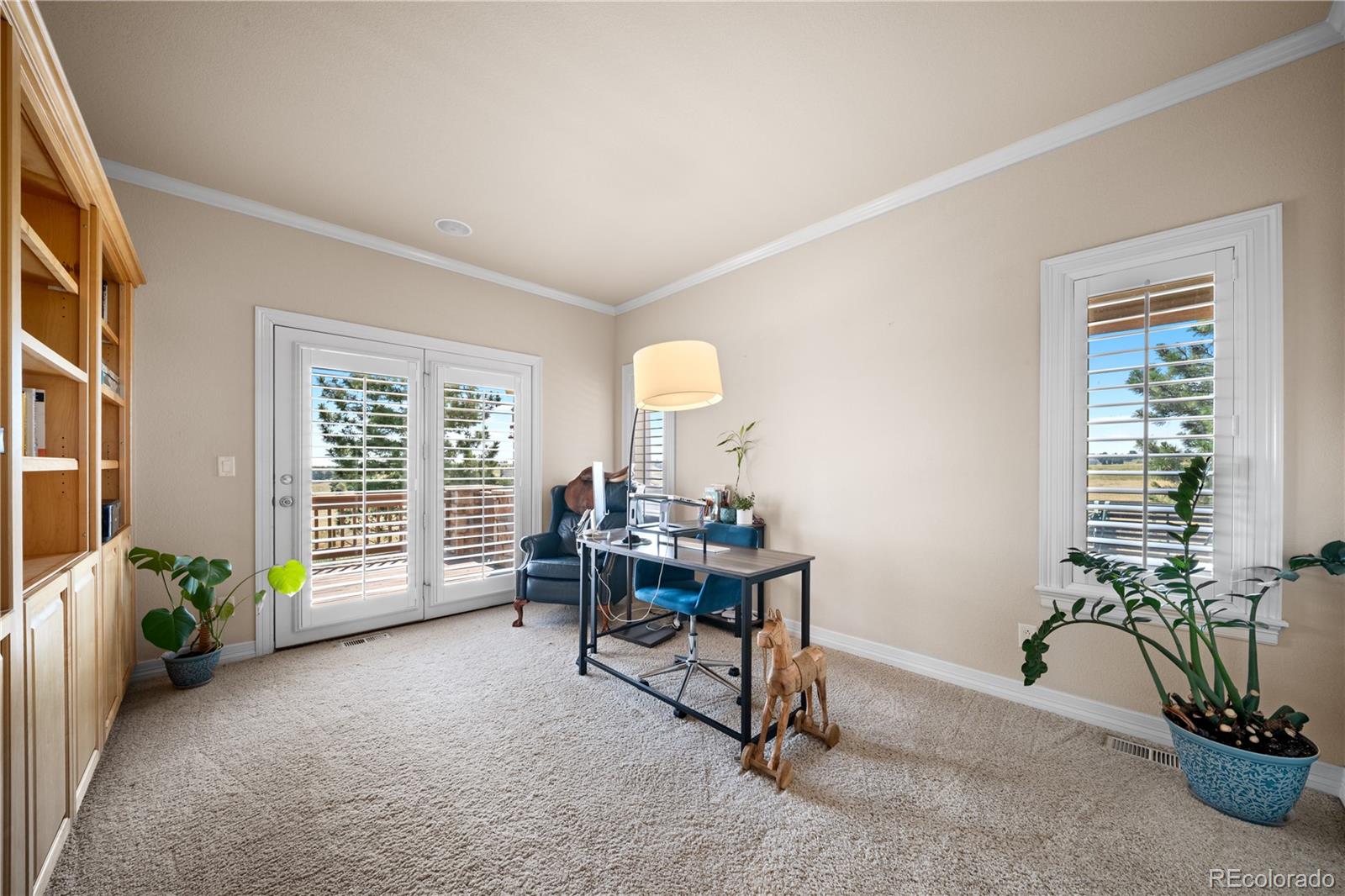 MLS Image #19 for 213  scotch pine circle,parker, Colorado
