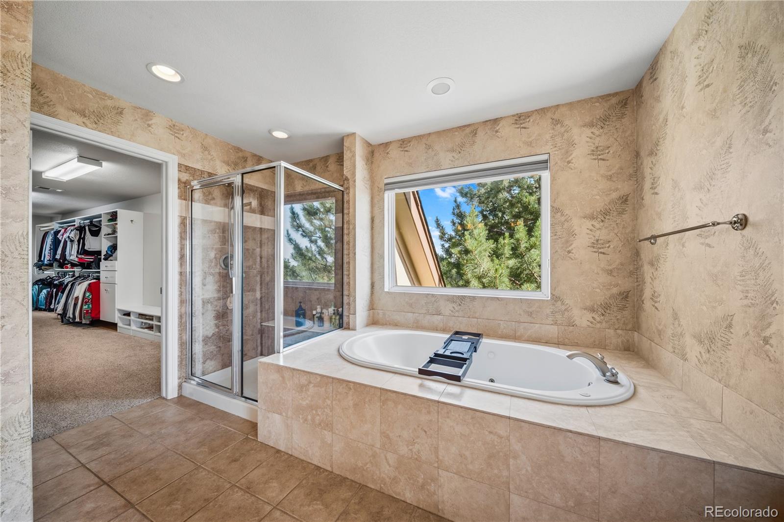 MLS Image #29 for 213  scotch pine circle,parker, Colorado