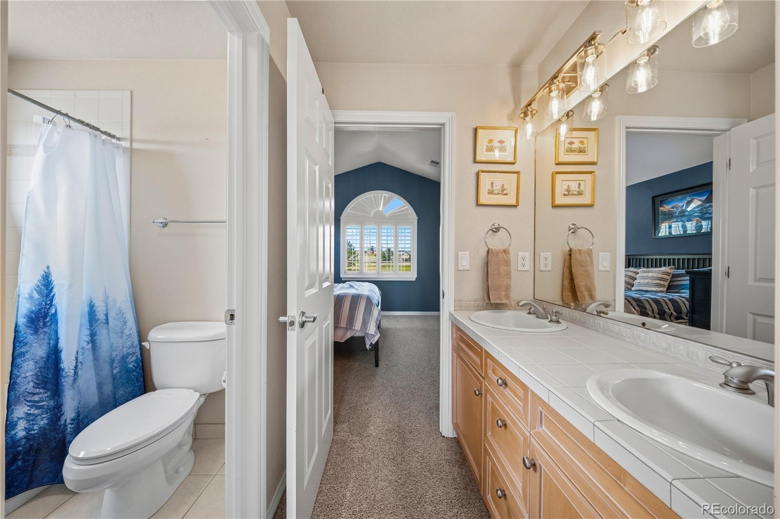 MLS Image #32 for 213  scotch pine circle,parker, Colorado