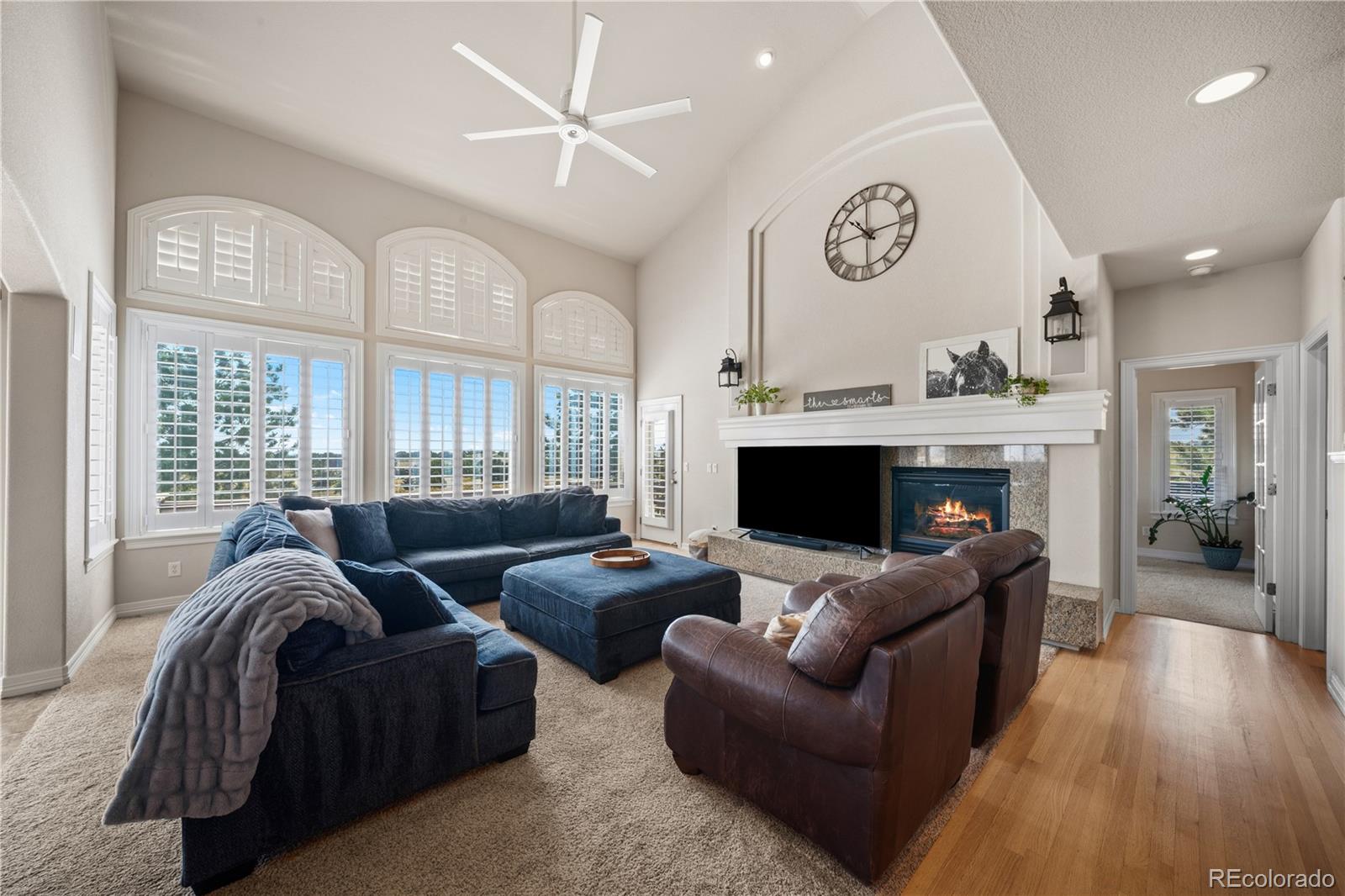 MLS Image #4 for 213  scotch pine circle,parker, Colorado