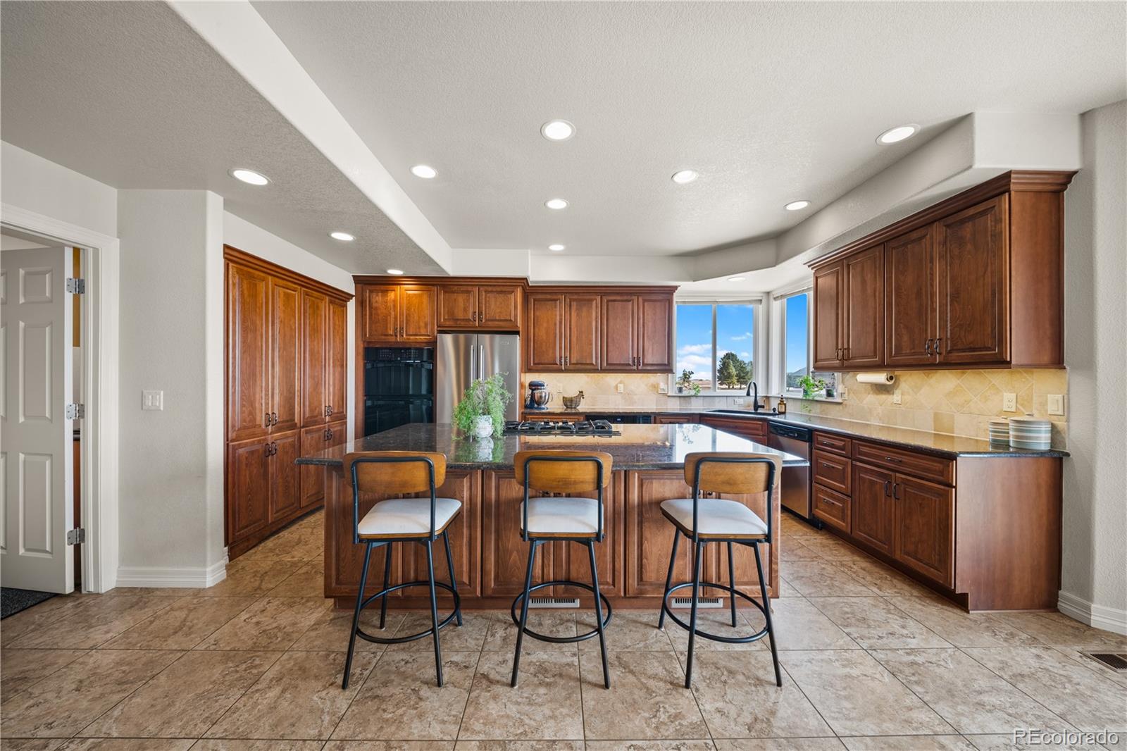 MLS Image #9 for 213  scotch pine circle,parker, Colorado
