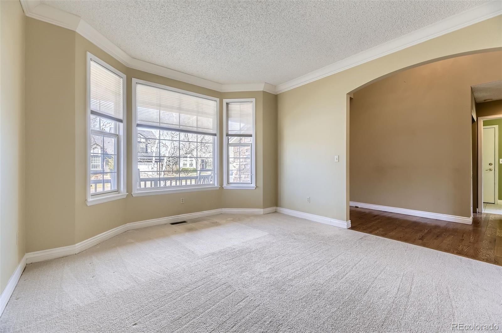 MLS Image #15 for 6550  ashburn lane,highlands ranch, Colorado