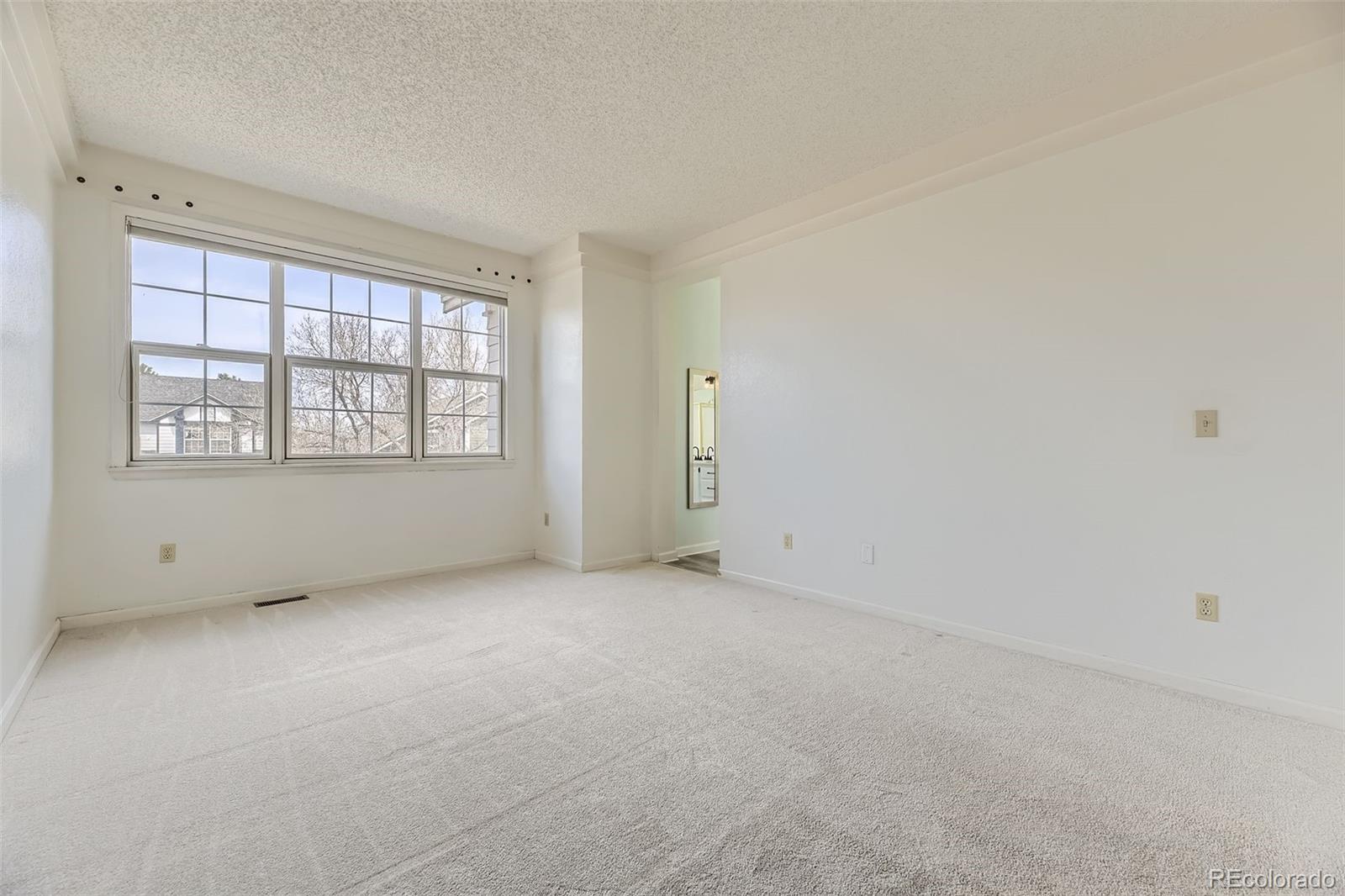 MLS Image #19 for 6550  ashburn lane,highlands ranch, Colorado