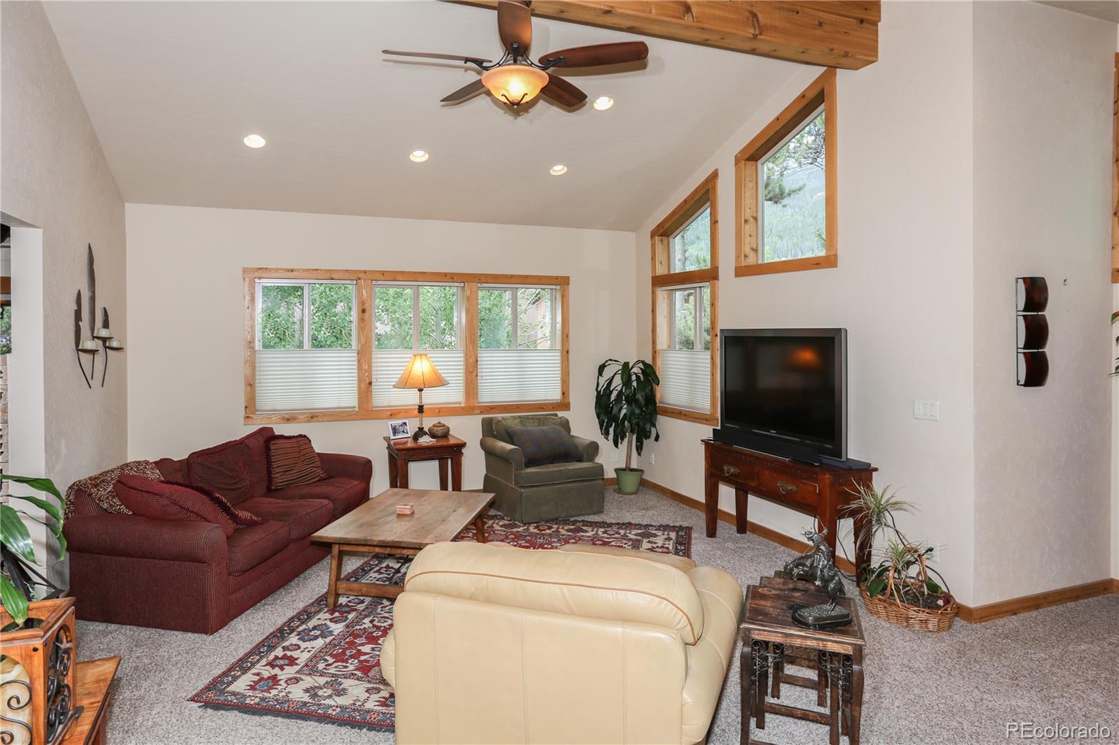 MLS Image #11 for 503 s 6th avenue,frisco, Colorado