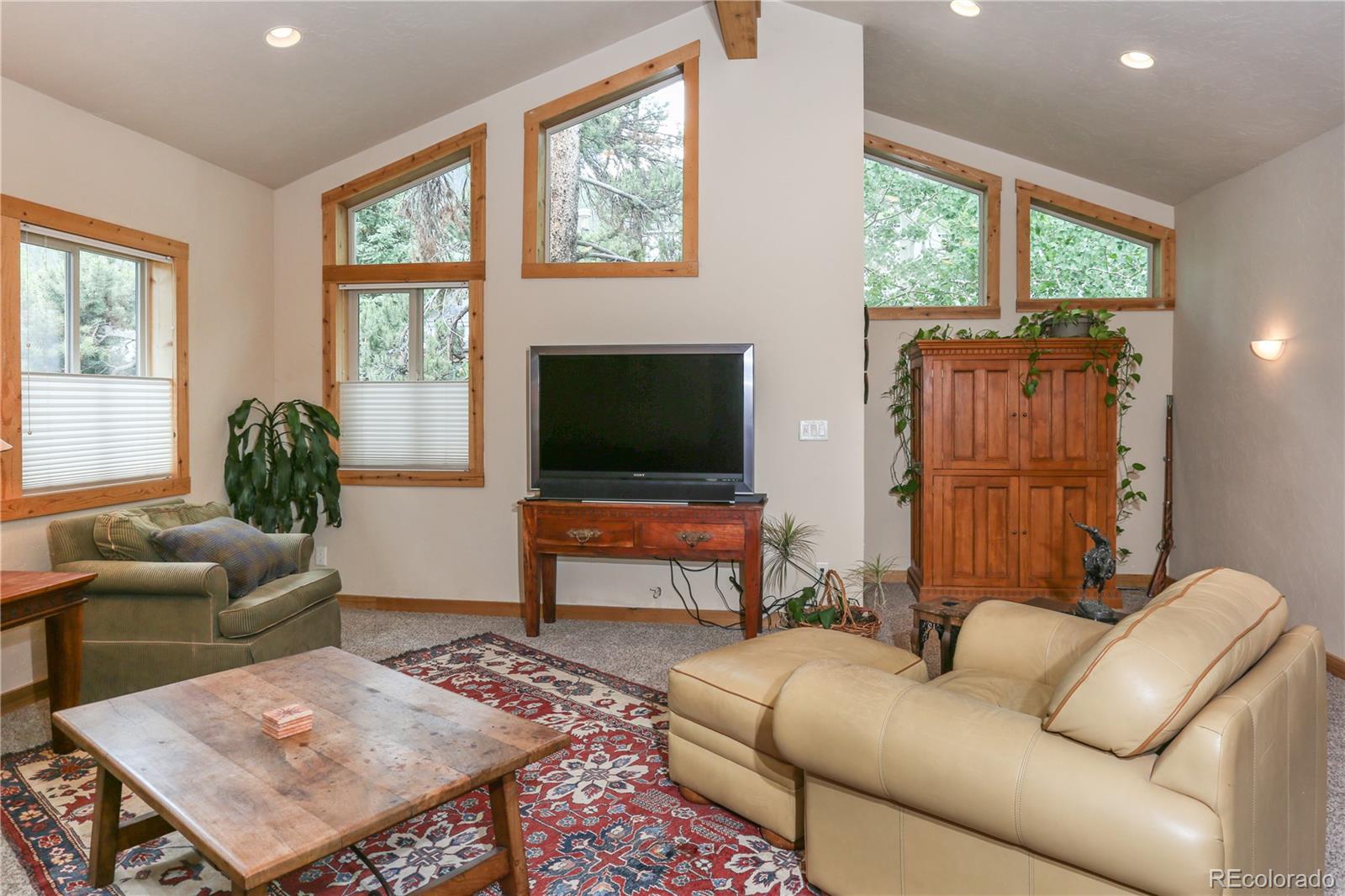 MLS Image #17 for 503 s 6th avenue,frisco, Colorado