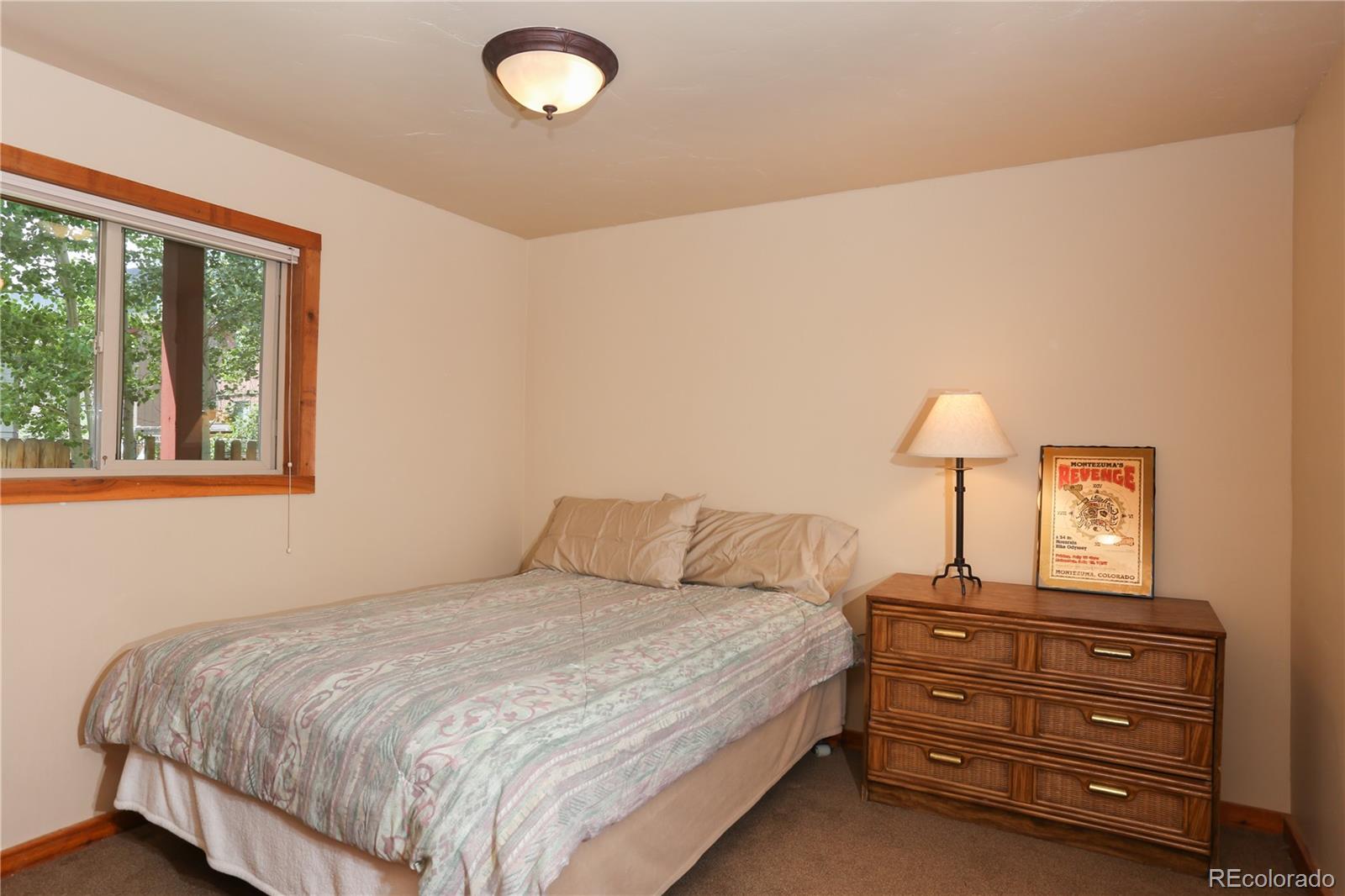 MLS Image #27 for 503 s 6th avenue,frisco, Colorado