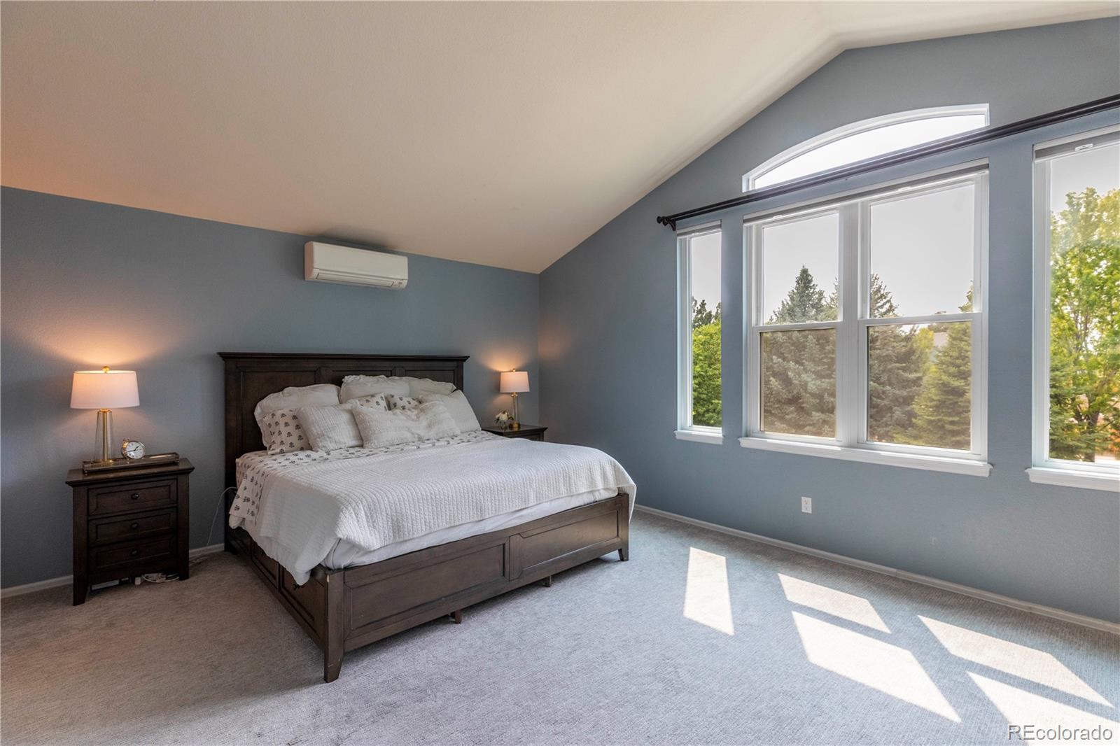MLS Image #11 for 3453  starflower road,castle rock, Colorado