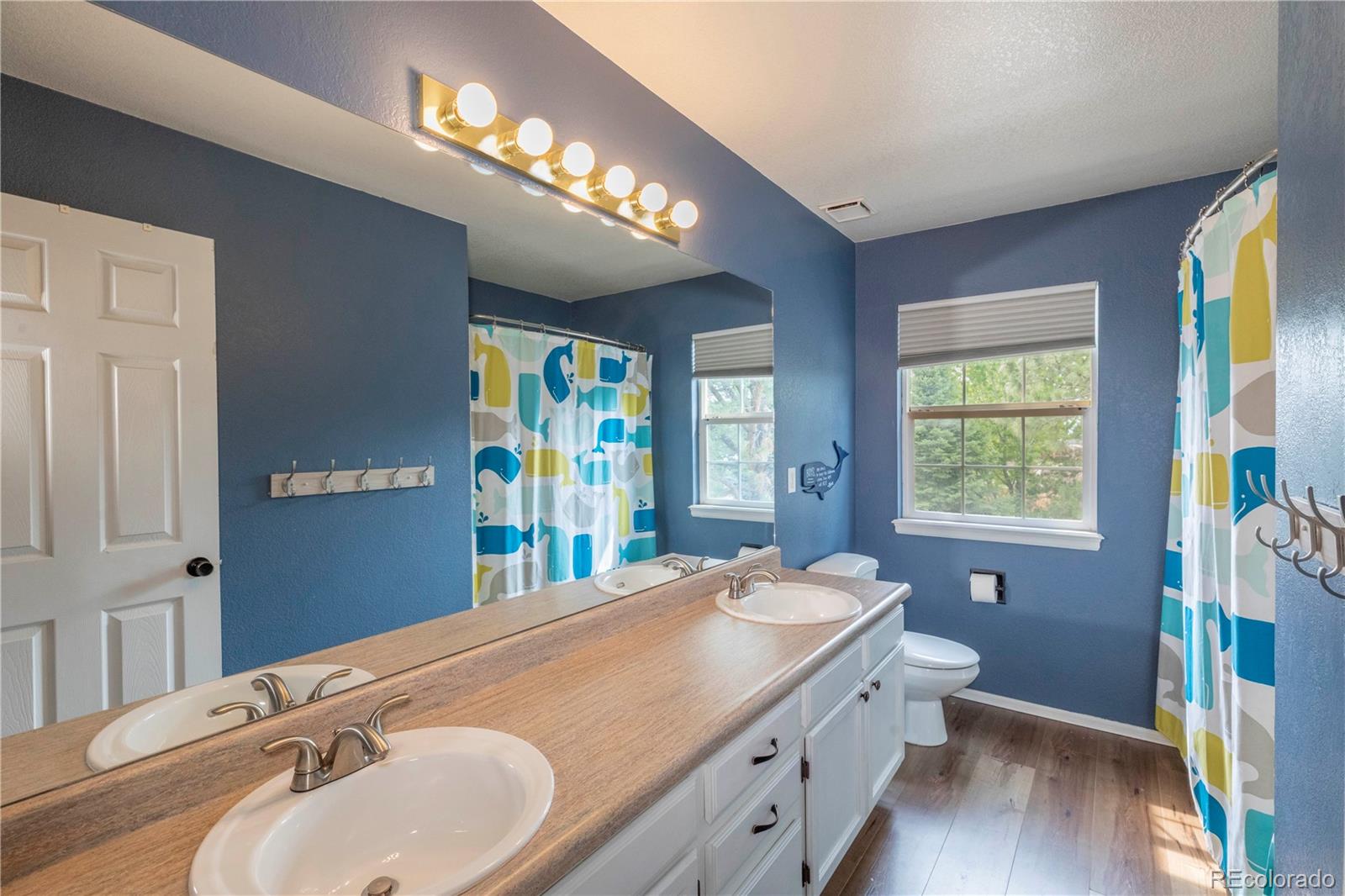MLS Image #17 for 3453  starflower road,castle rock, Colorado