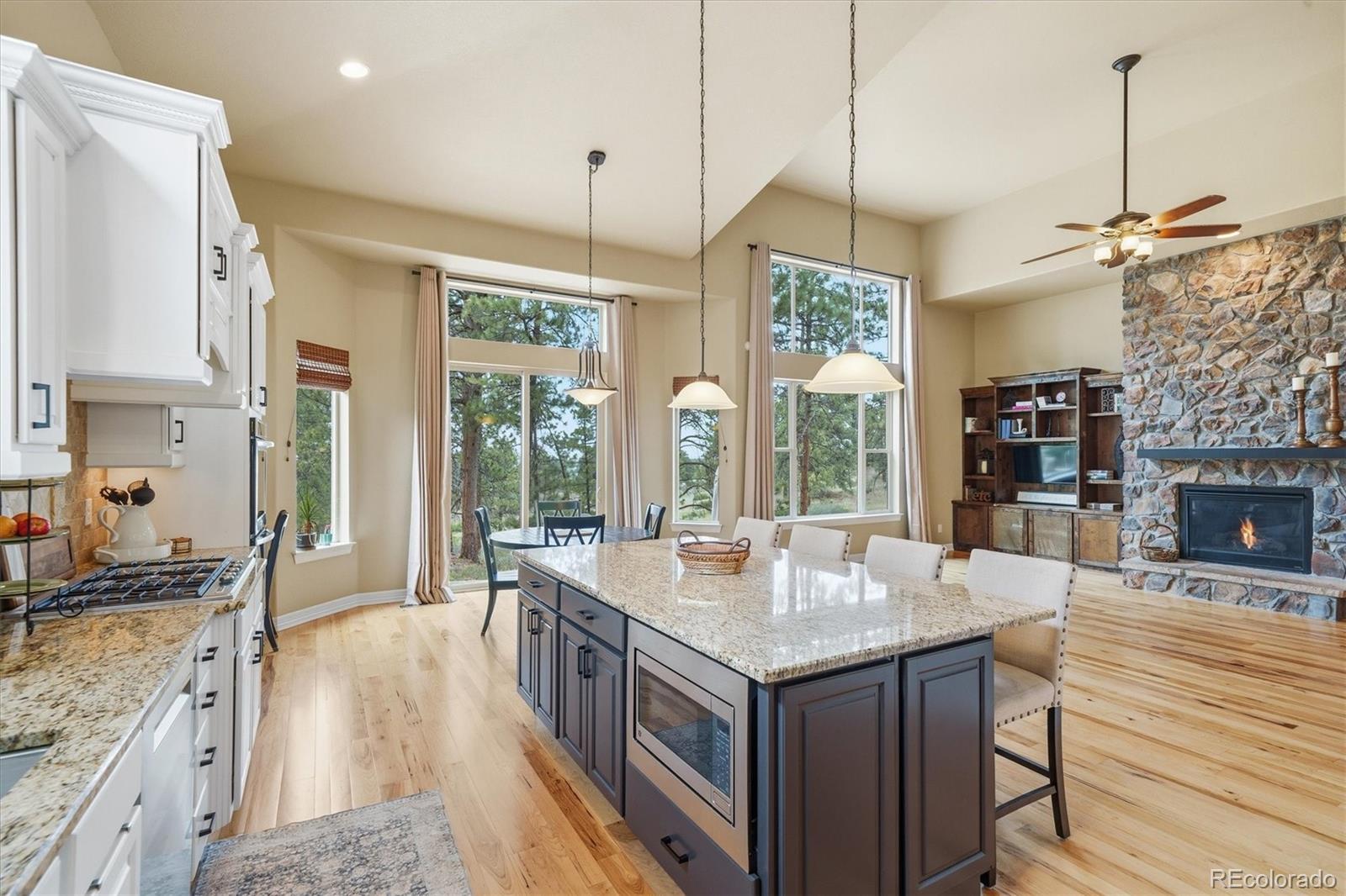 MLS Image #15 for 11941 s longs bluff lane,parker, Colorado