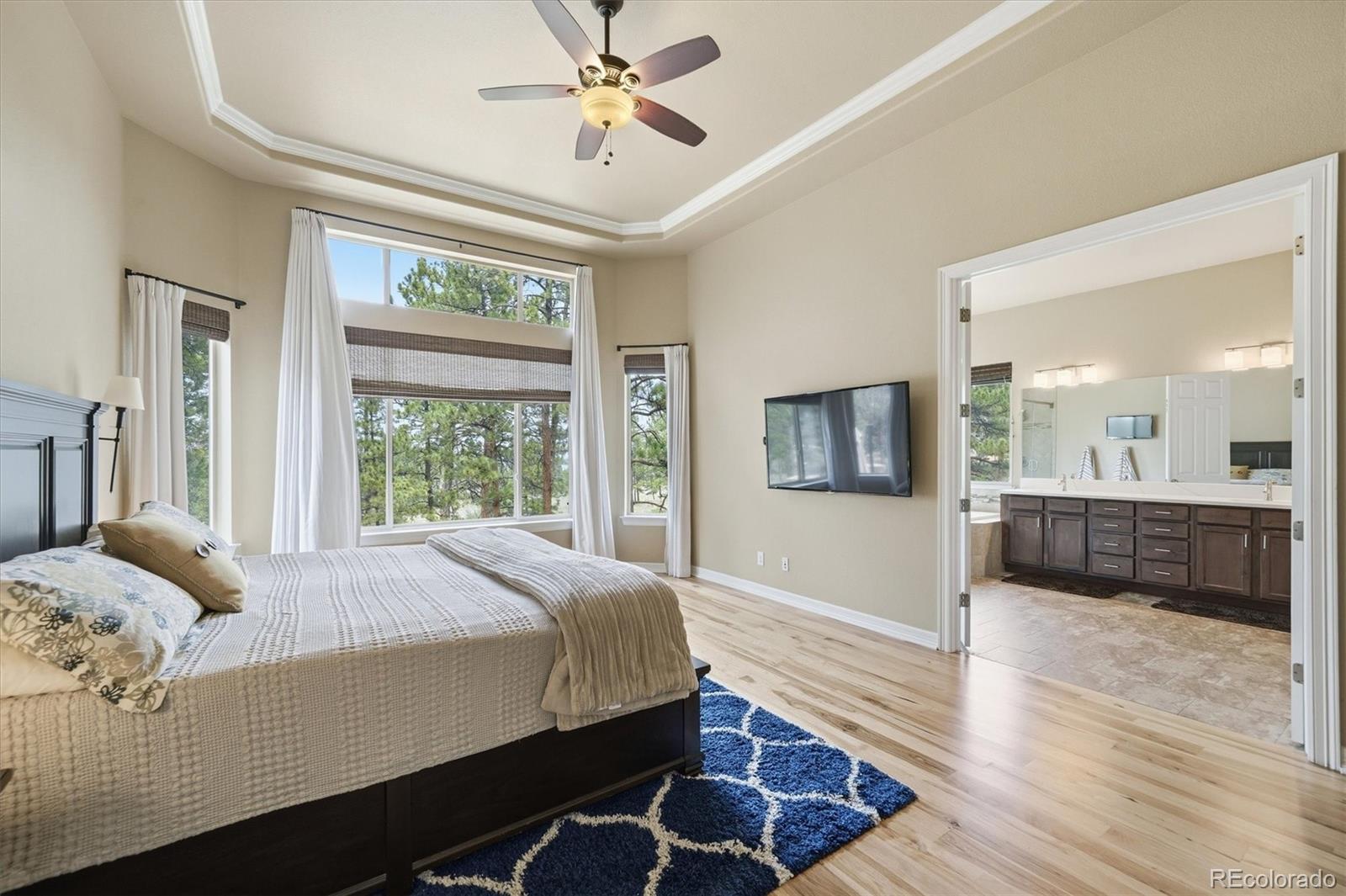 MLS Image #25 for 11941 s longs bluff lane,parker, Colorado