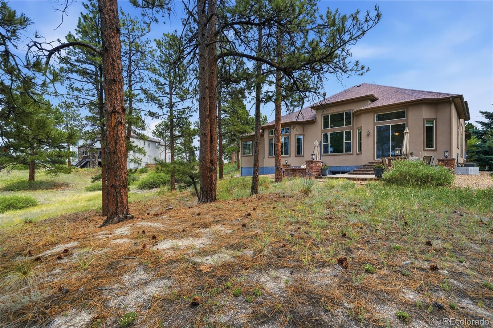 MLS Image #43 for 11941 s longs bluff lane,parker, Colorado