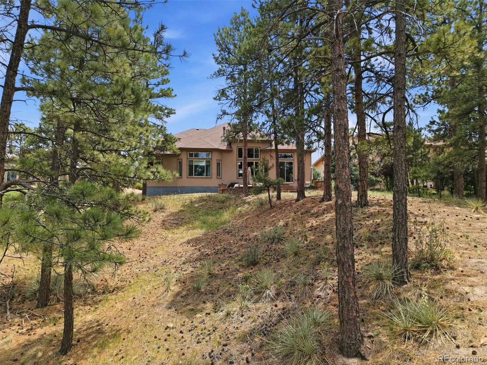 MLS Image #46 for 11941 s longs bluff lane,parker, Colorado