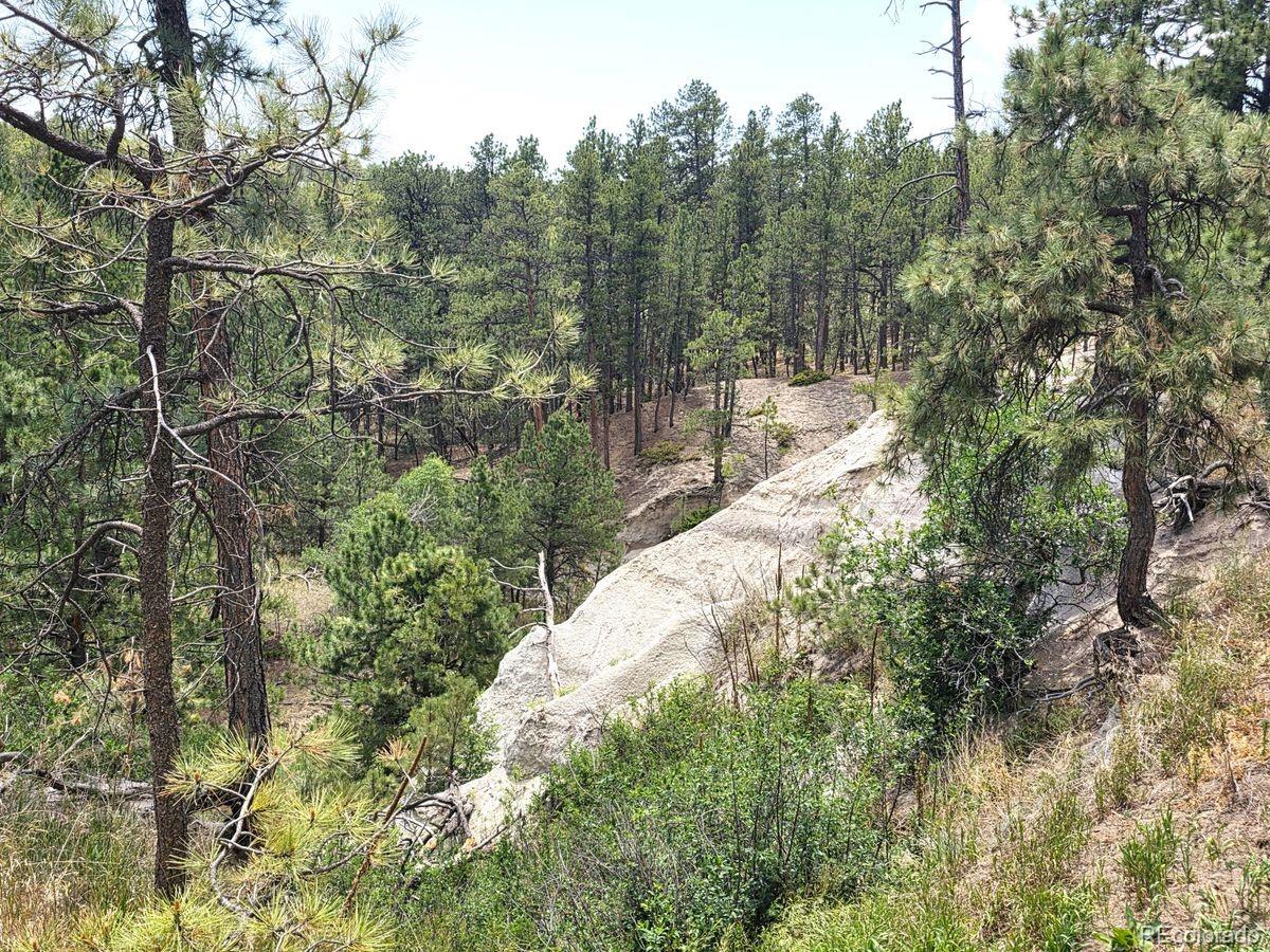 MLS Image #2 for 4465  leprechaun lane,colorado springs, Colorado