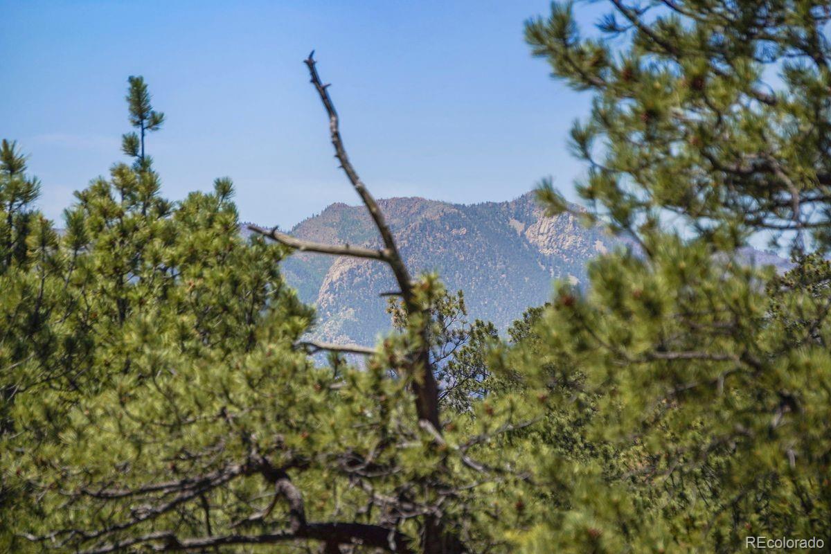MLS Image #3 for 4465  leprechaun lane,colorado springs, Colorado