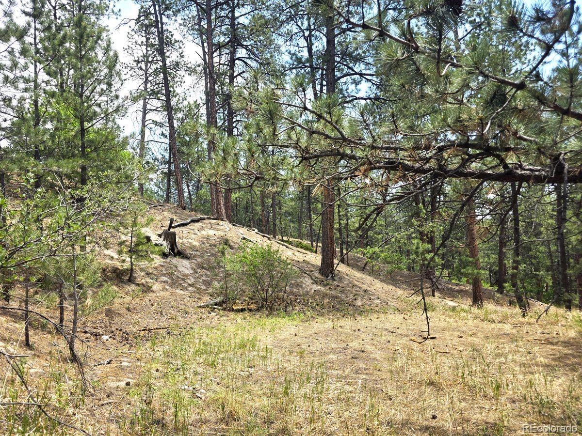 MLS Image #38 for 4465  leprechaun lane,colorado springs, Colorado