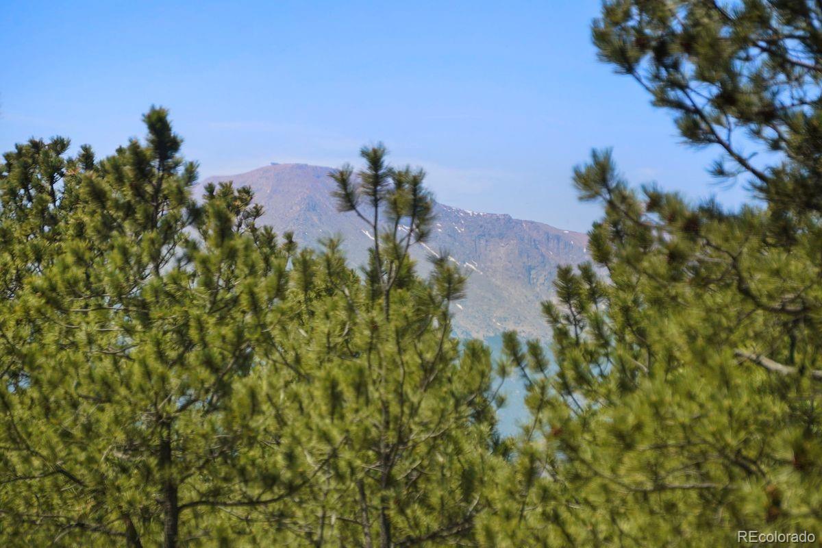 MLS Image #4 for 4465  leprechaun lane,colorado springs, Colorado