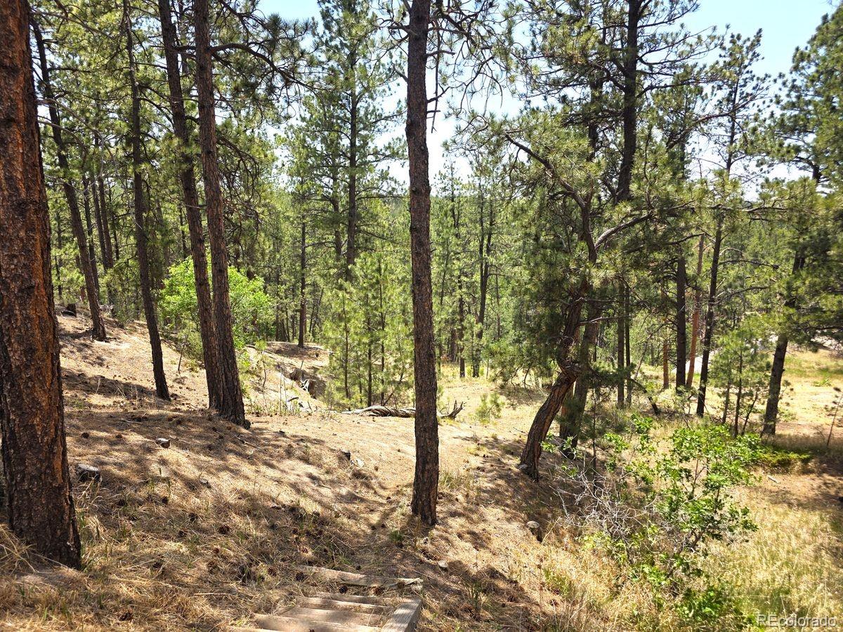 MLS Image #40 for 4465  leprechaun lane,colorado springs, Colorado