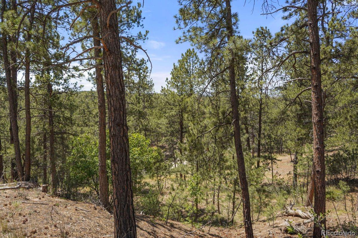 MLS Image #7 for 4465  leprechaun lane,colorado springs, Colorado