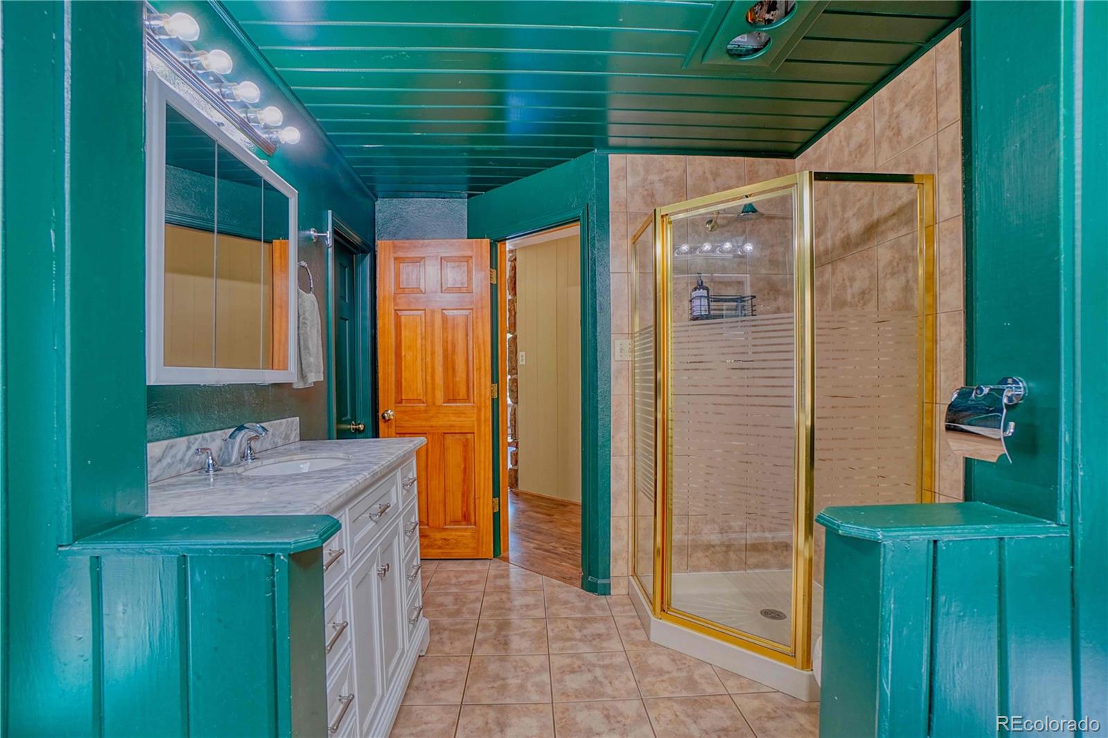 MLS Image #17 for 96  ponderosa drive,nederland, Colorado