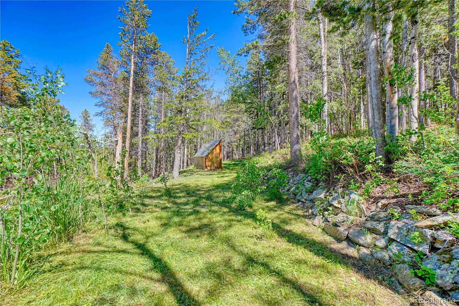 MLS Image #36 for 96  ponderosa drive,nederland, Colorado