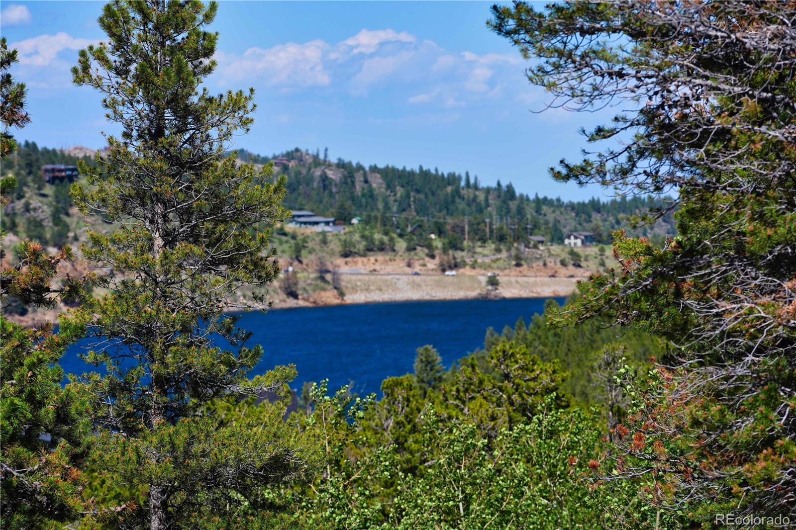 MLS Image #41 for 96  ponderosa drive,nederland, Colorado
