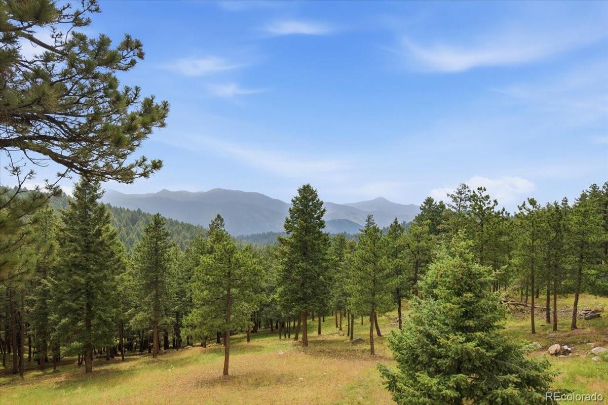 MLS Image #30 for 15571 w sampson road,littleton, Colorado