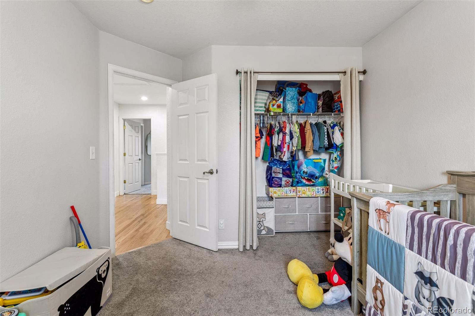 MLS Image #27 for 2755 e 111th drive,denver, Colorado