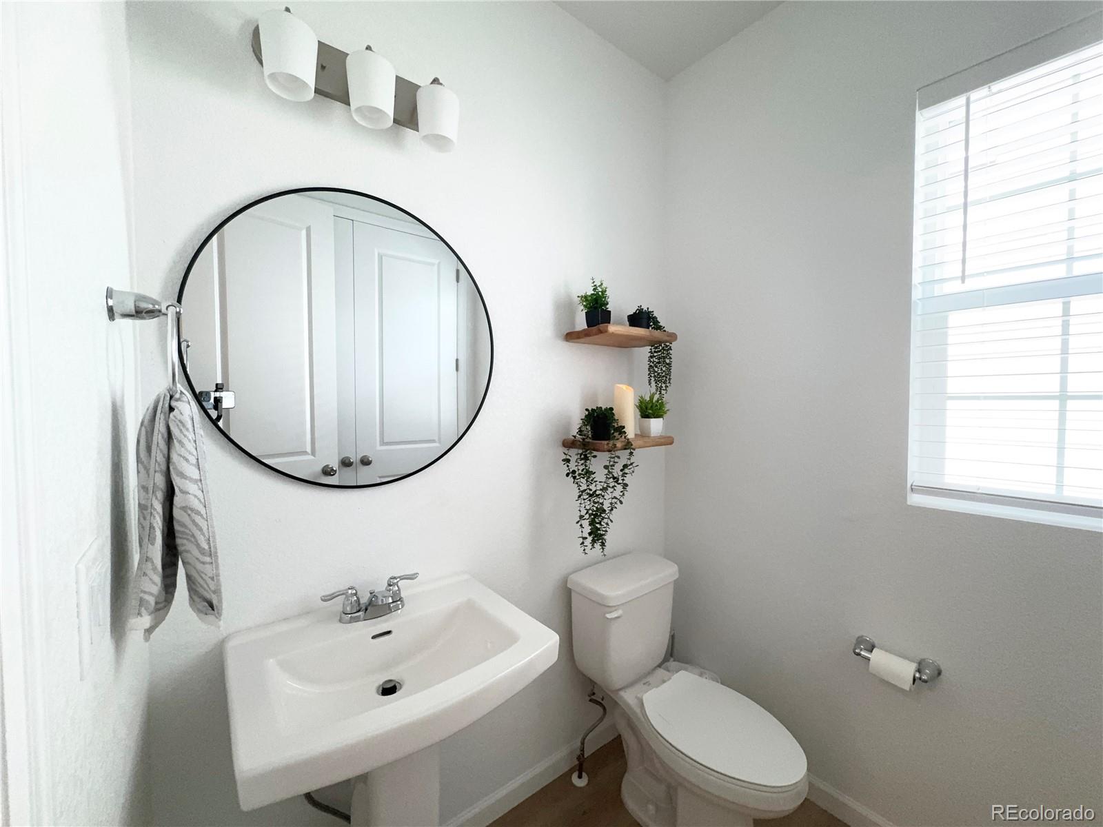 MLS Image #15 for 8812  whiteclover street,littleton, Colorado