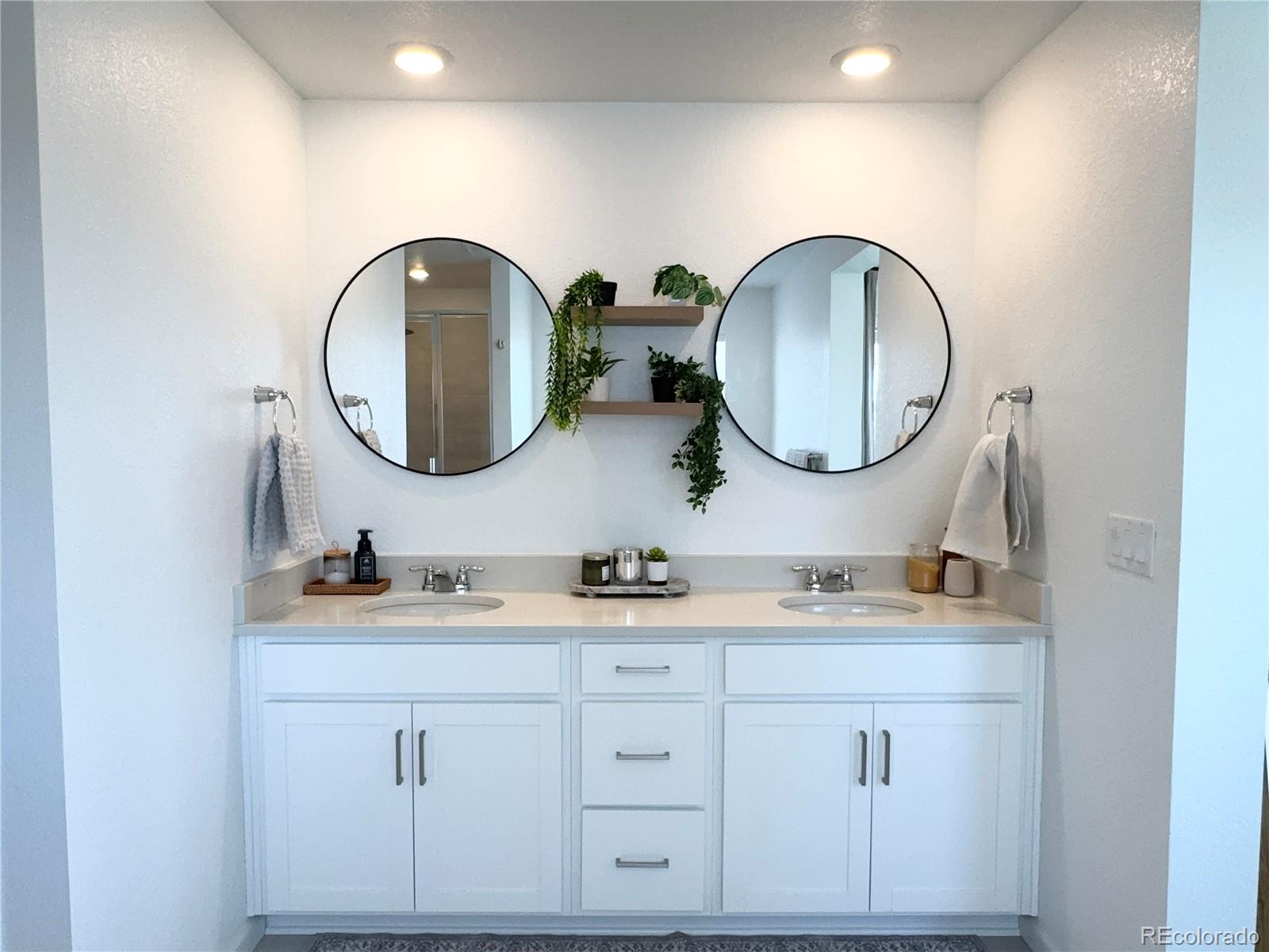 MLS Image #23 for 8812  whiteclover street,littleton, Colorado