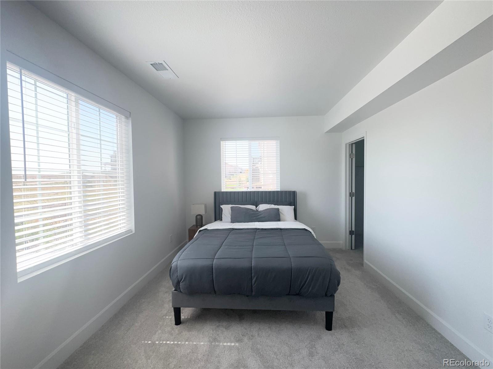 MLS Image #44 for 8812  whiteclover street,littleton, Colorado