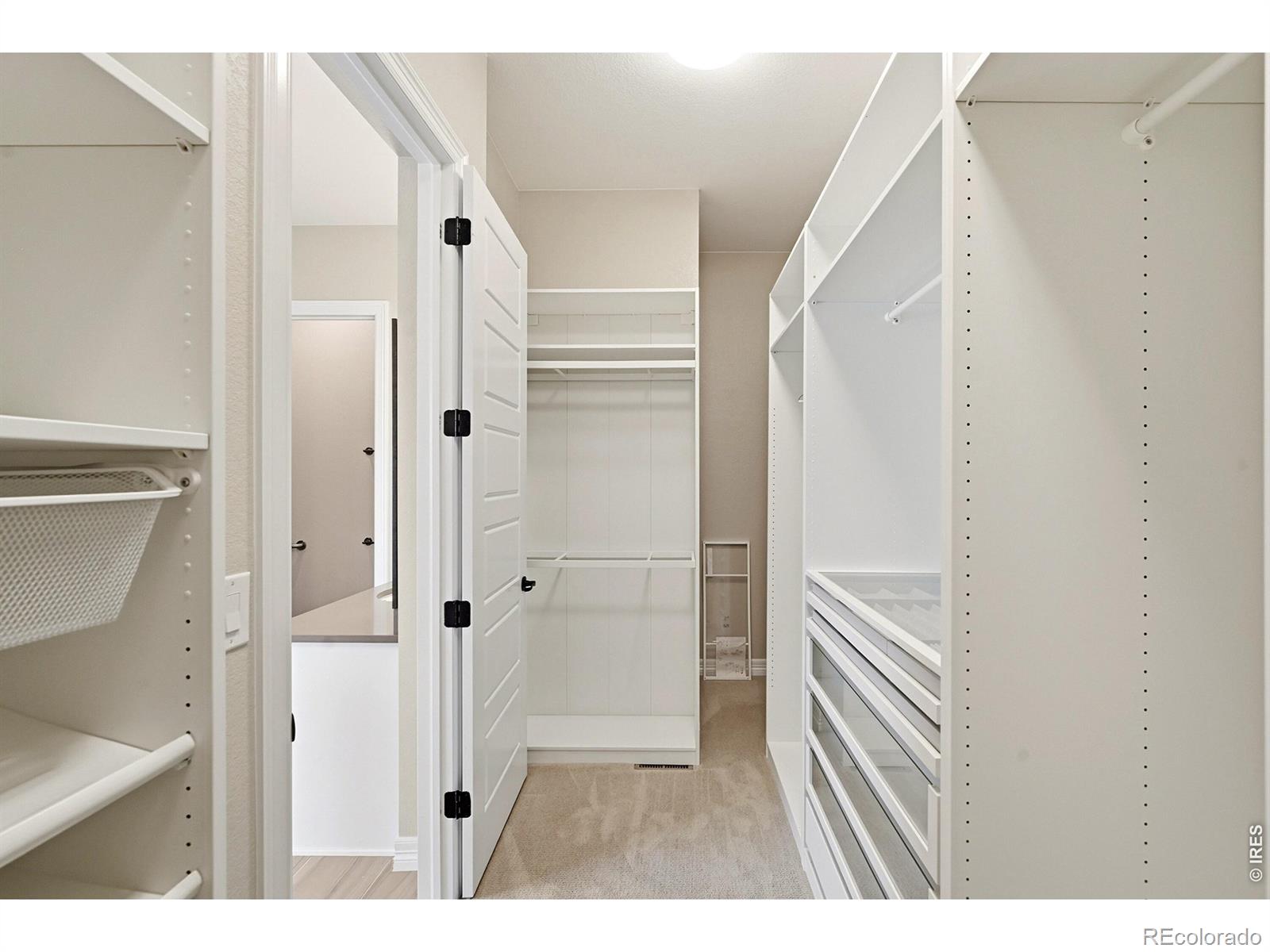 MLS Image #17 for 1825  burke drive,erie, Colorado