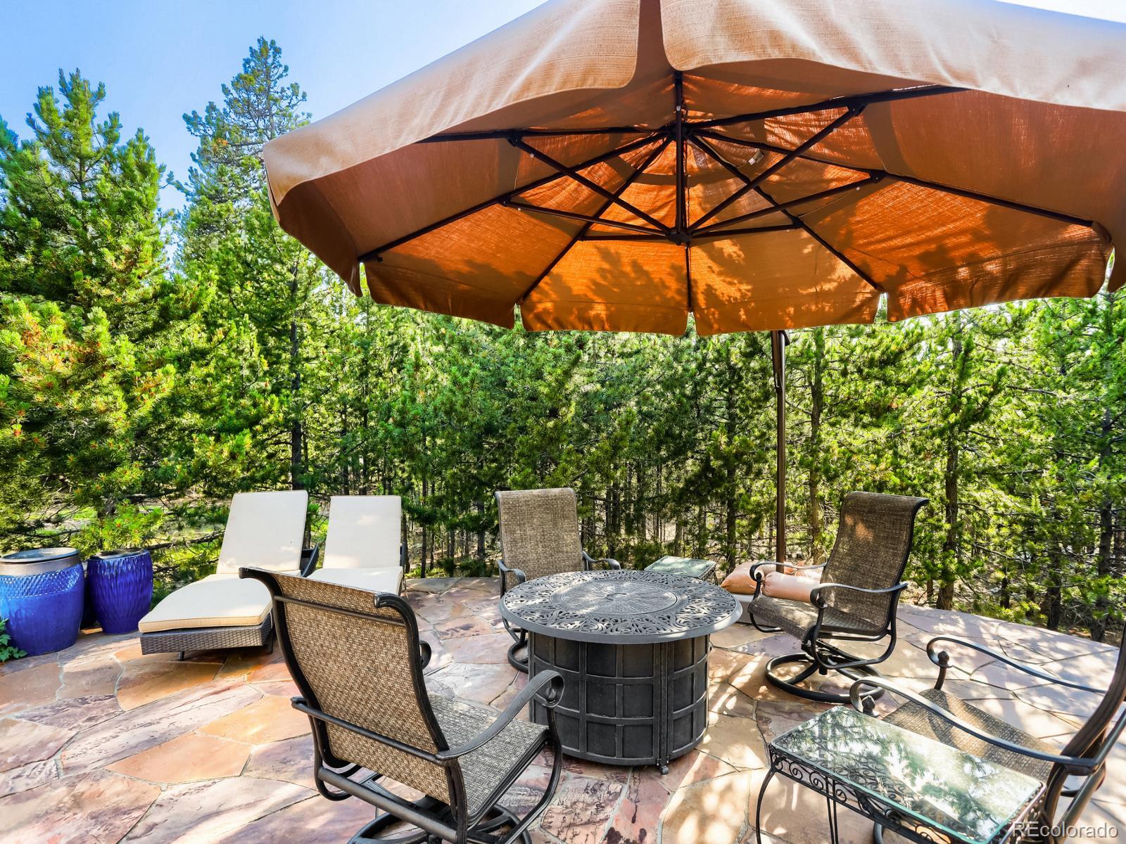 MLS Image #11 for 32142  black widow drive,conifer, Colorado