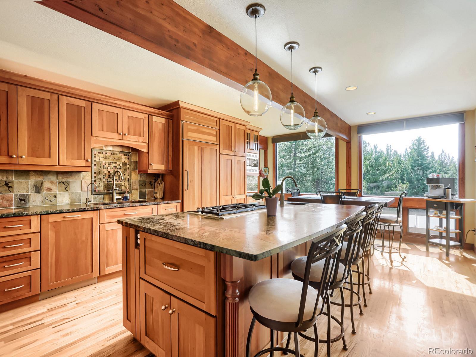 MLS Image #22 for 32142  black widow drive,conifer, Colorado