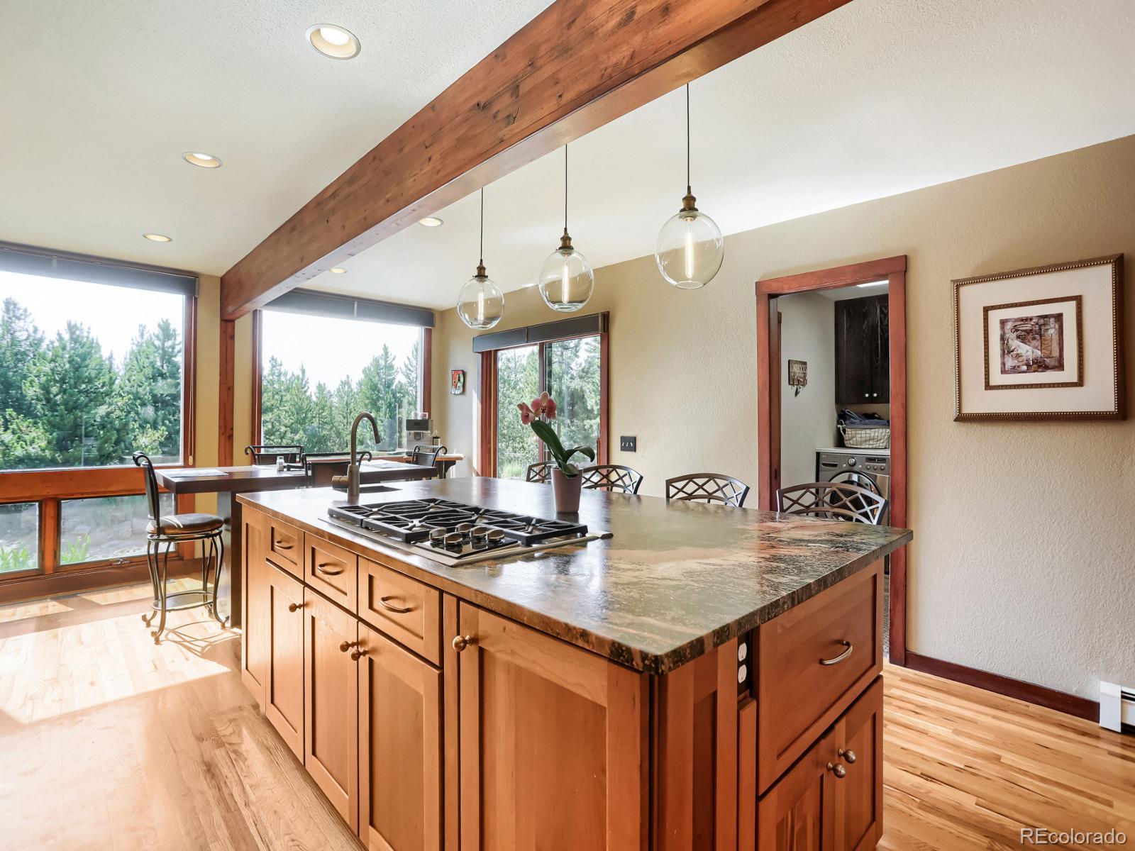 MLS Image #23 for 32142  black widow drive,conifer, Colorado