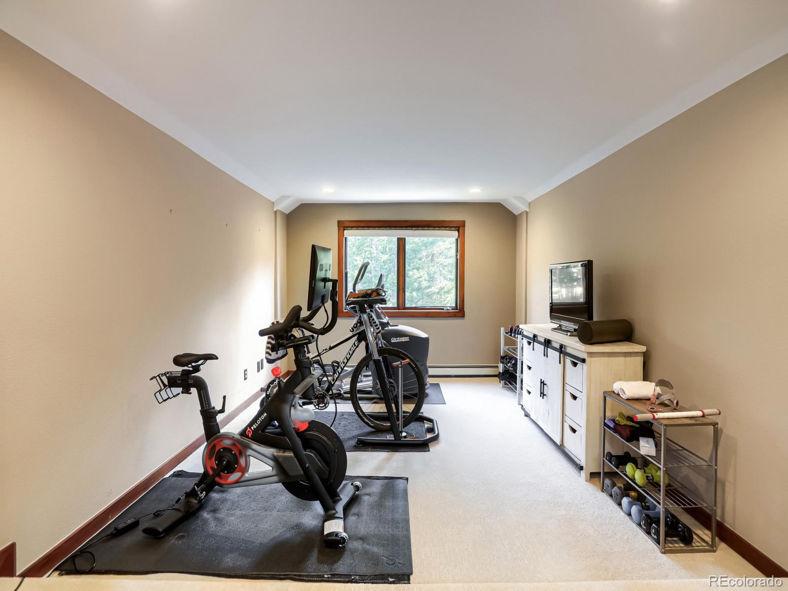 MLS Image #38 for 32142  black widow drive,conifer, Colorado