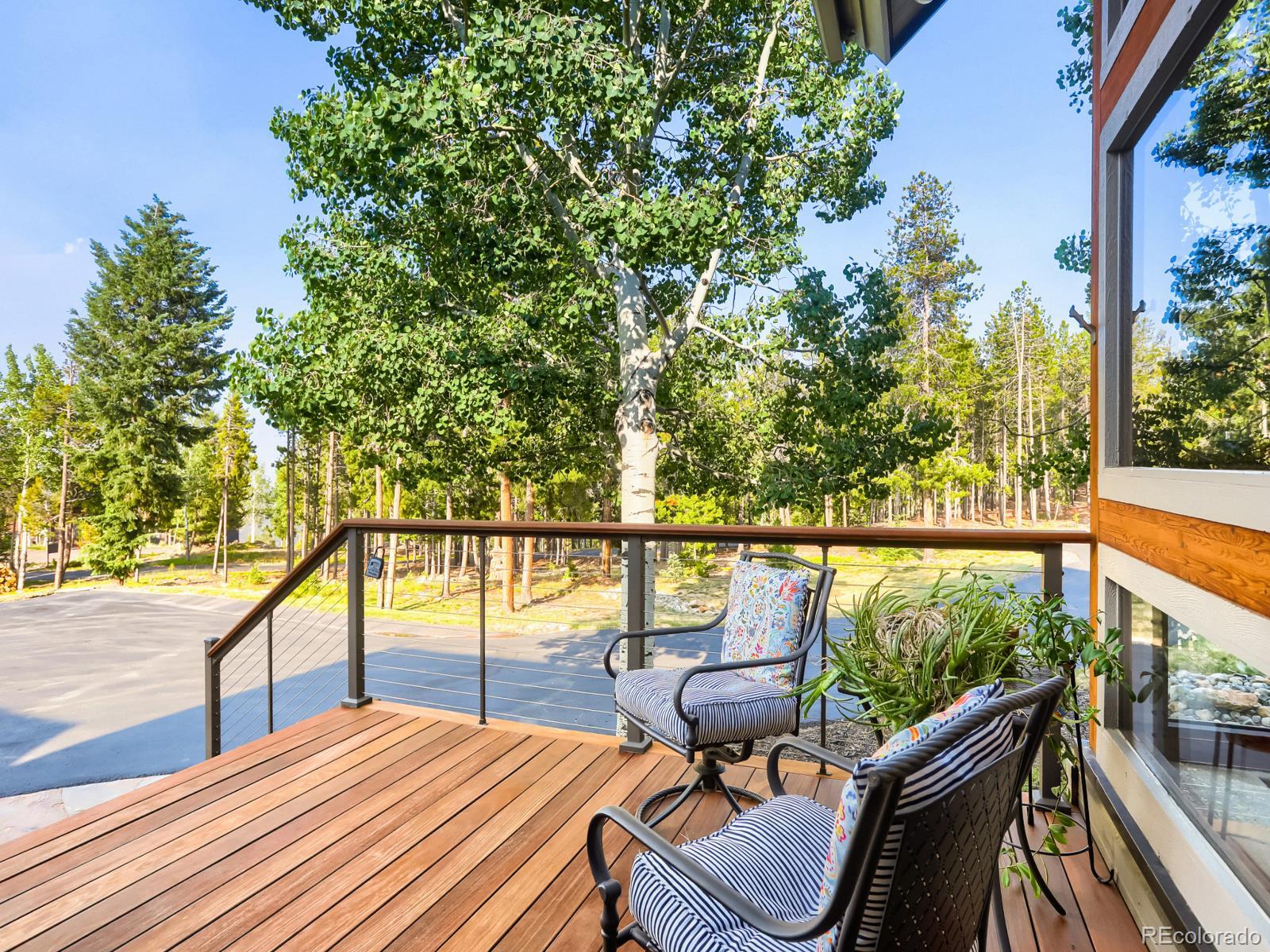 MLS Image #6 for 32142  black widow drive,conifer, Colorado