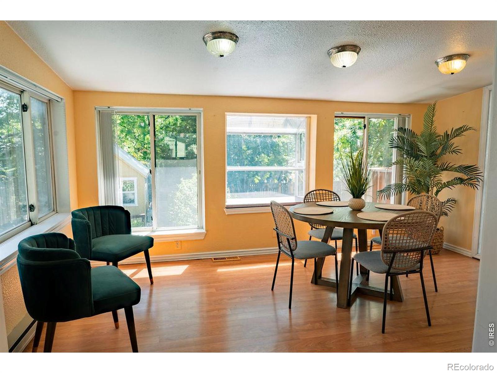 MLS Image #14 for 522 s bryan avenue,fort collins, Colorado