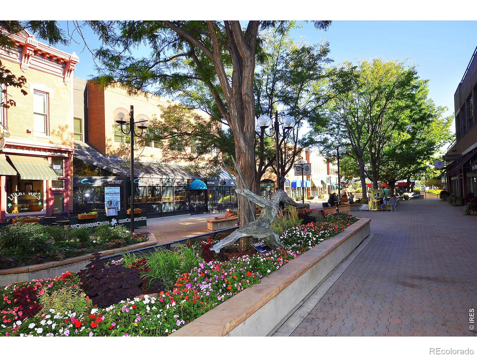 MLS Image #41 for 522 s bryan avenue,fort collins, Colorado