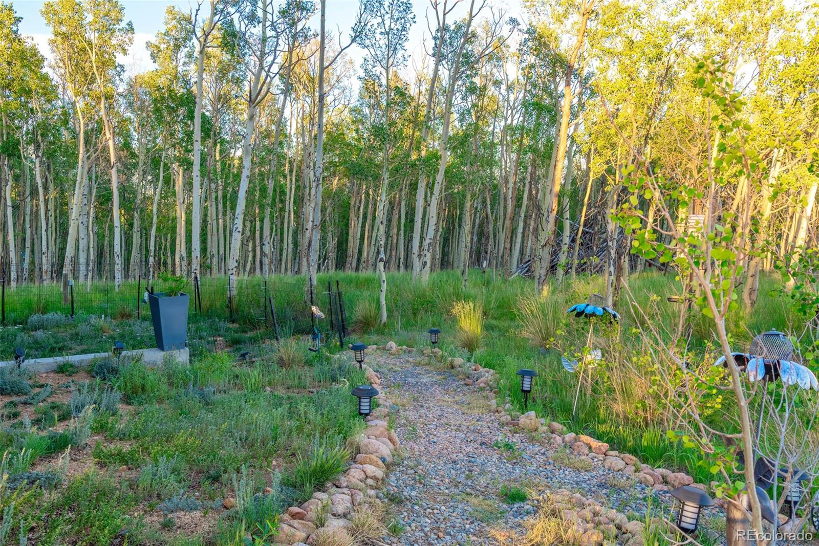 MLS Image #43 for 982  georgia drive,jefferson, Colorado