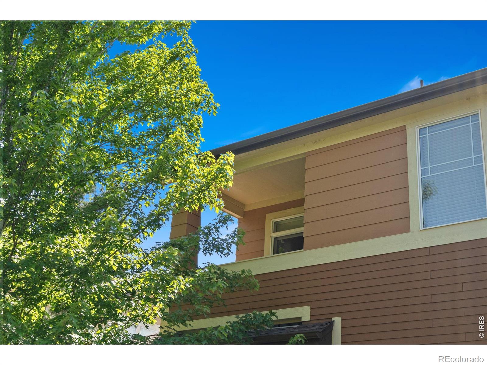 MLS Image #17 for 5120  southern cross lane,fort collins, Colorado
