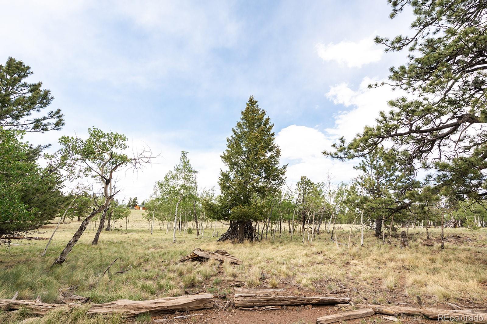 MLS Image #46 for 355  oahu road,buena vista, Colorado