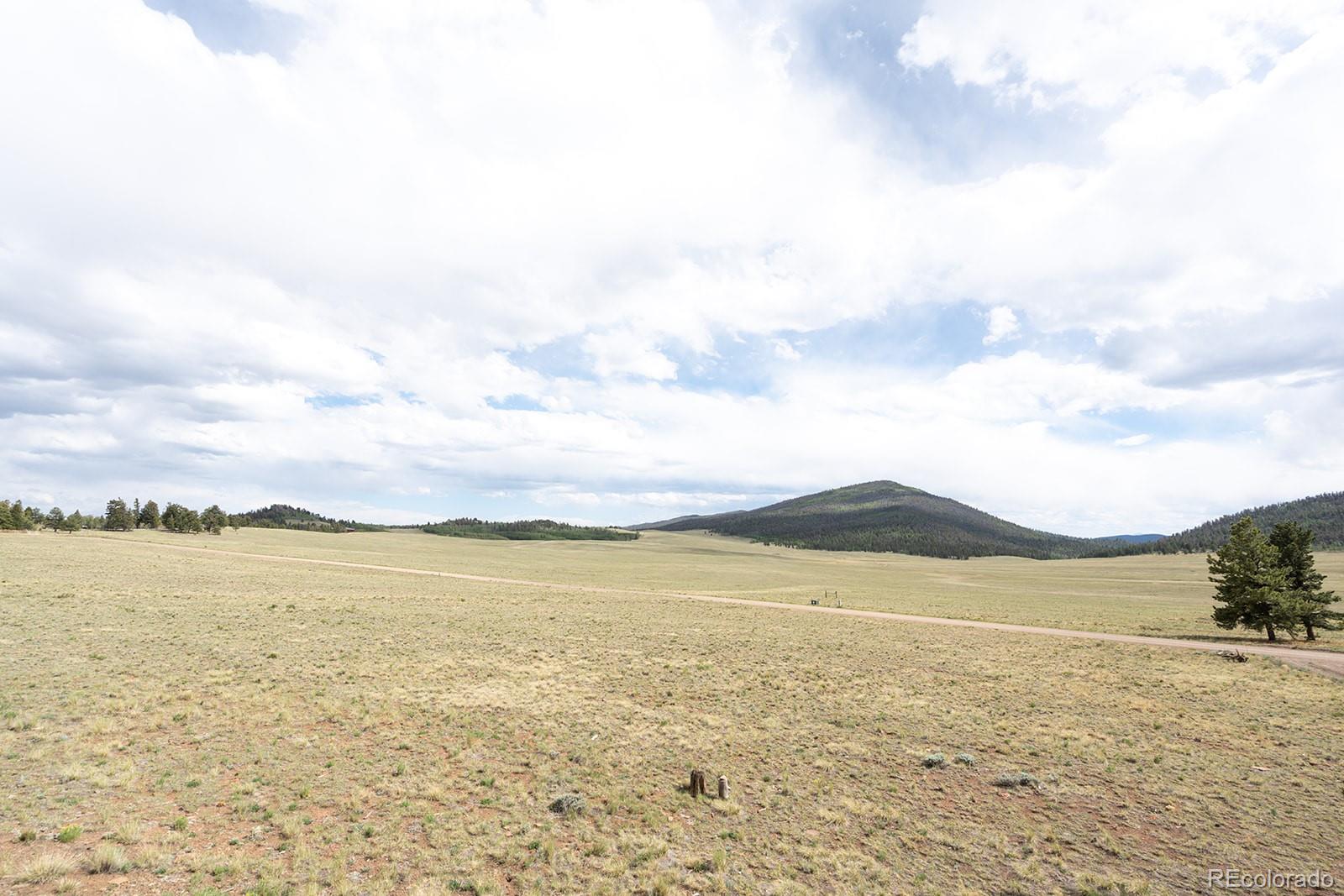 MLS Image #49 for 355  oahu road,buena vista, Colorado