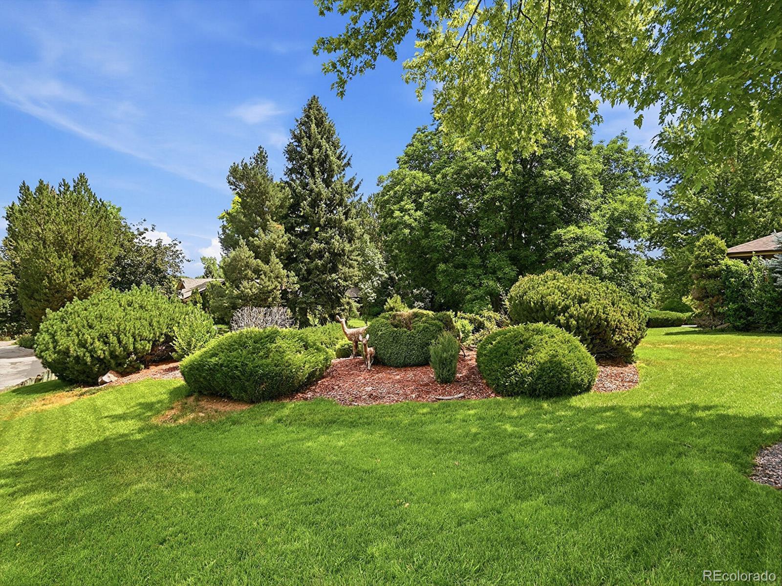 MLS Image #7 for 30  dutch creek drive,littleton, Colorado