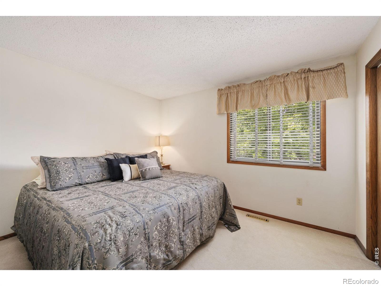 MLS Image #12 for 150  sunflower drive,windsor, Colorado