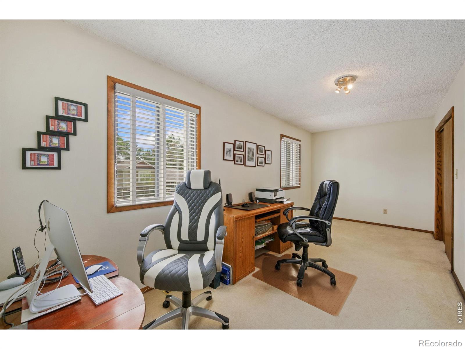 MLS Image #14 for 150  sunflower drive,windsor, Colorado