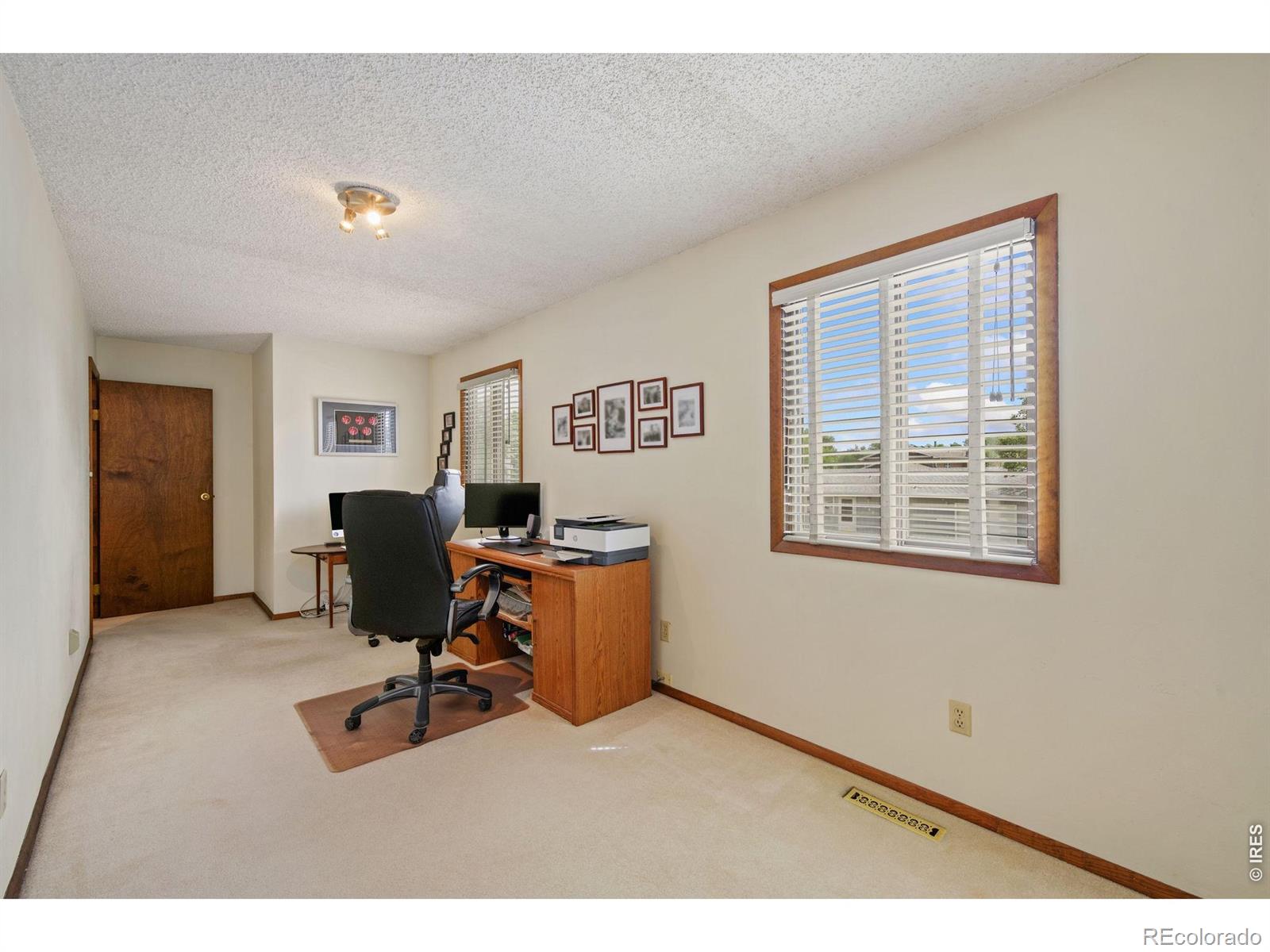 MLS Image #15 for 150  sunflower drive,windsor, Colorado
