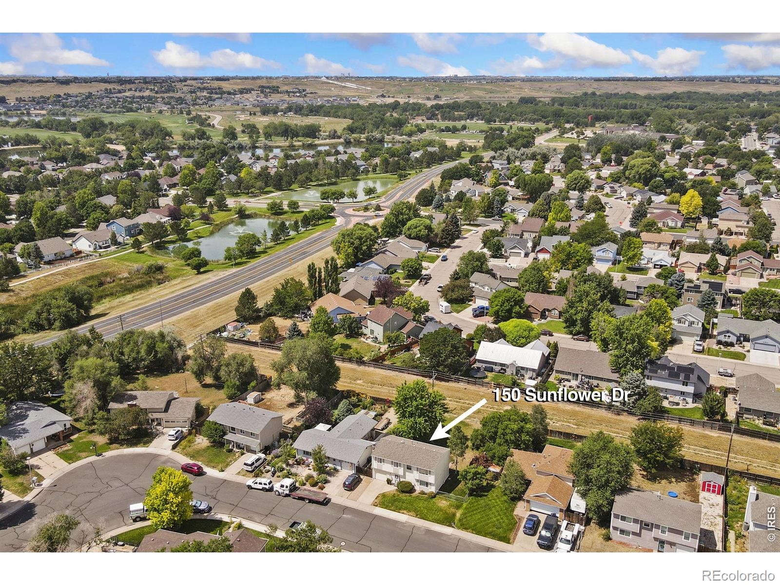 MLS Image #27 for 150  sunflower drive,windsor, Colorado