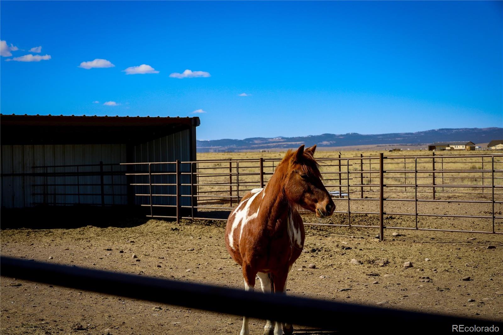 MLS Image #49 for 6729  county road dd.5 ,la jara, Colorado